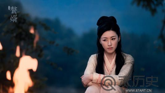 赘婿宁毅有几位妻子（赘婿原著中有几个老婆）