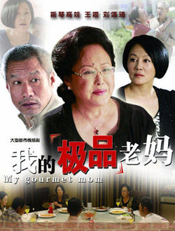 我的极品老妈