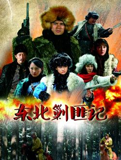 东北剿匪记