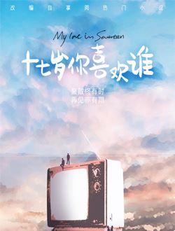 十七岁你喜欢谁