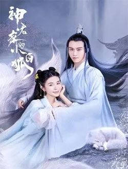 神君家的小白狐