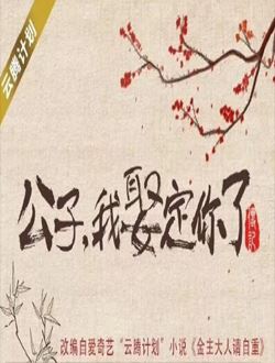 公子我娶定你了2