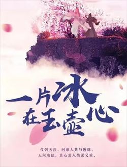 一片冰心在玉壶