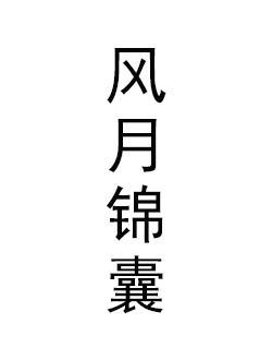 风月锦囊