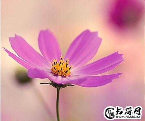 元气满满的阳光励志句子