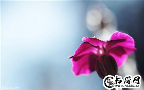 平常心的句子 保持一颗平常心的句子