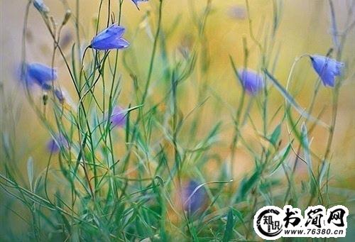 有心事不能诉说的句子 把心事藏在心里的句子