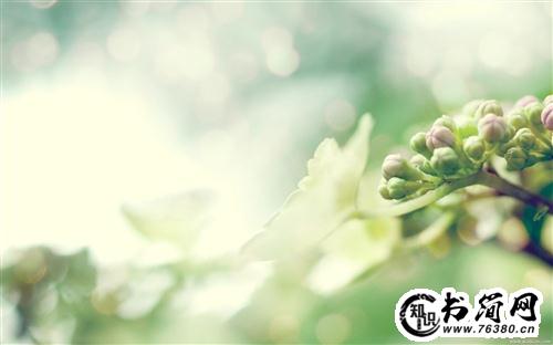 祝福老爸简短而又深刻的话