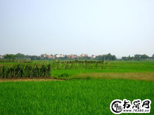 田野写句子 描写田野的句子