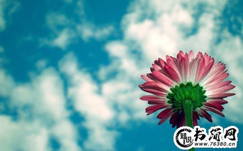 暧昧文艺的句子