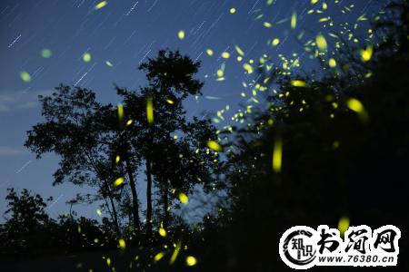 萤火虫的句子一句话 描写萤火虫的优美句子