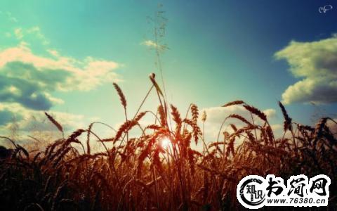 黄昏唯美的短句子 关于黄昏的唯美句子