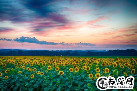 写给自己唯美的句子 做最好的自己唯美句子