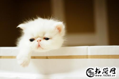 形容无奈的句子 表达心情失落的句子