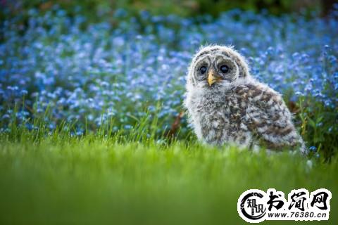 形容自然的句子 形容大自然神奇的句子
