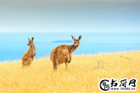 形容坚持的句子 关于坚持的句子简短