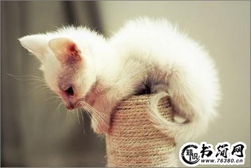 早上发朋友圈短句子 适合发朋友圈的短句子