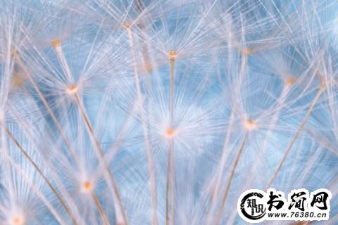 关于幸福爱情的短句唯美句子