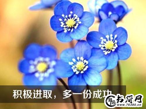 关于人生励志的句子