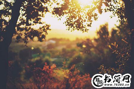 一句话心情不好的句子 安慰心情不好的句子