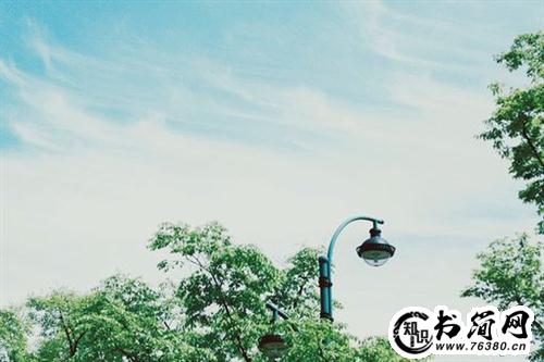 一句话描写花的句子 描写花的句子一句话