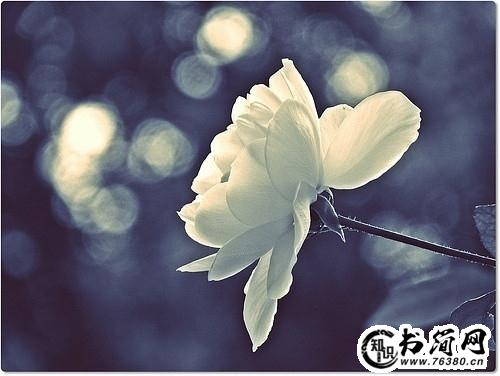 一句话成长感悟的句子 经历才能成长经典语录