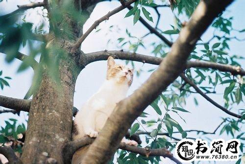 用一句话春天的句子 一句话赞美春天的句子