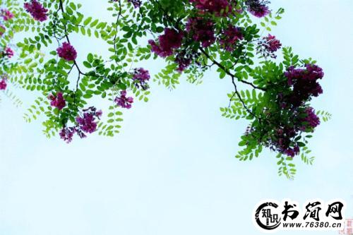 描写夏风的优美句子 描写夏风的句子