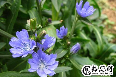 关于老公爱老婆的句子