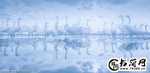 有关初恋的唯美句子