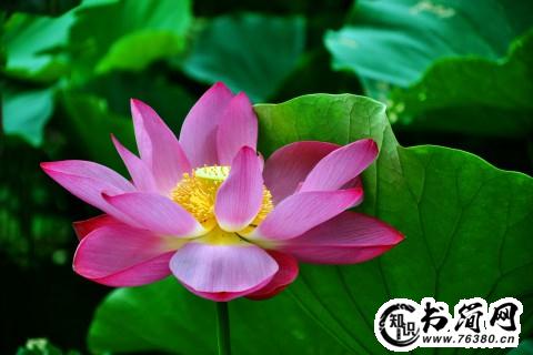 描写天涯海角的句子 赞美天涯海角的句子