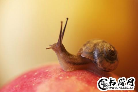 描写背影的优美句子 描写女子背影唯美句子