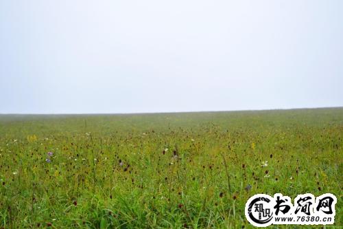 描写草原的句子 描写草原的句子怎么写