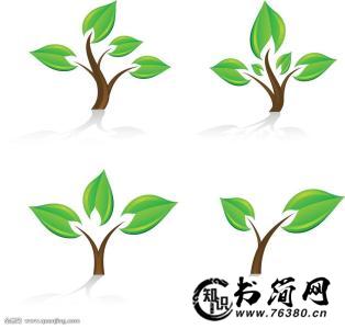 对树叶的描写的句子 描写叶子的形状的句子