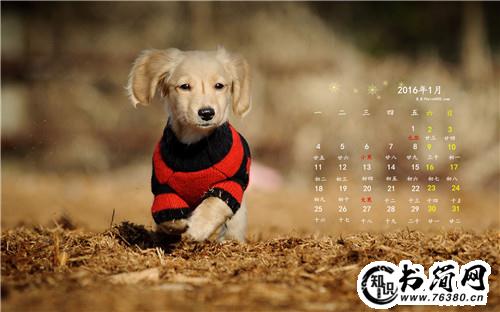 描写花草的的句子 描写花草树木的句子