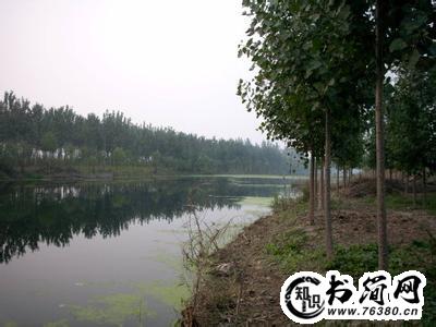 描写小河的句子 描写小河清澈的句子