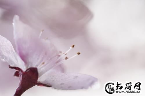 描写沙滩的句子 关于沙滩的唯美句子