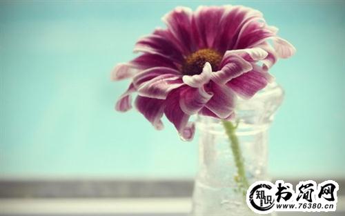 描写很痛苦的句子 表达心情失落的句子