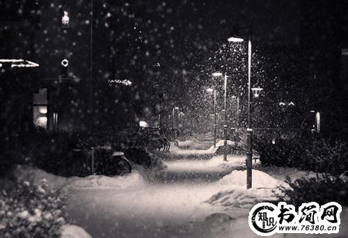 描写梨花的句子 关于梨花的句子