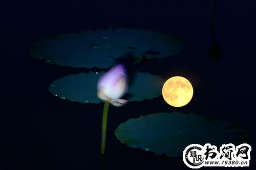 描写月色的句子 形容月色美的句子