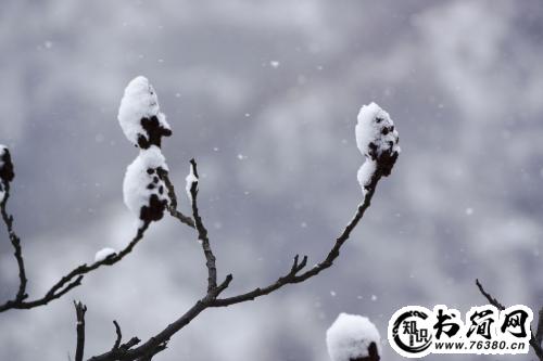 描写西湖的句子 关于西湖的唯美句子