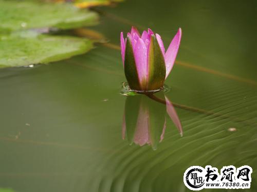 描写纯音乐优美的句子 形容轻音乐好听的句子