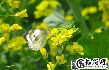 描写温暖优美句子 关于温暖的优美句子