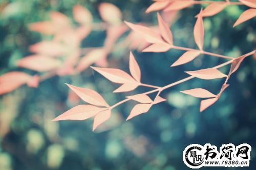 描写钻石的优美句子 钻石的唯美句子