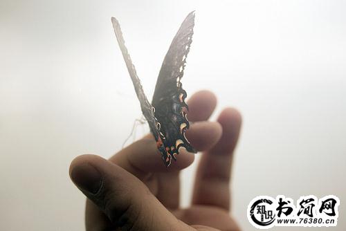 描写烟雨蒙蒙的句子 烟雨蒙蒙的唯美句子