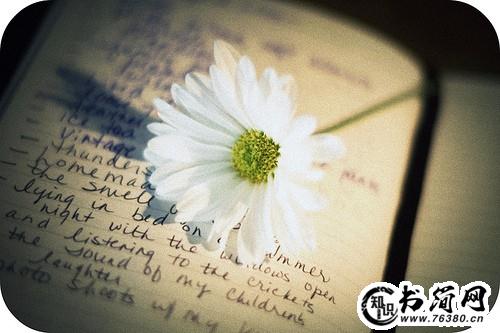 一句话对老师表示感谢 家长对老师表示感谢话