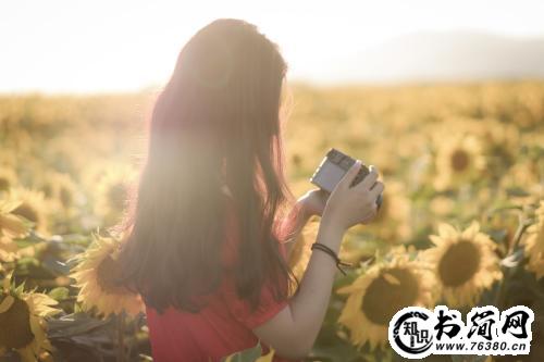 描写花的优美句子 形容各种花的唯美短句