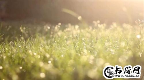 描写阳光的句子 阳光甚好的唯美句子