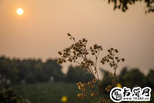 描写母亲的句子 关于母亲的唯美句子