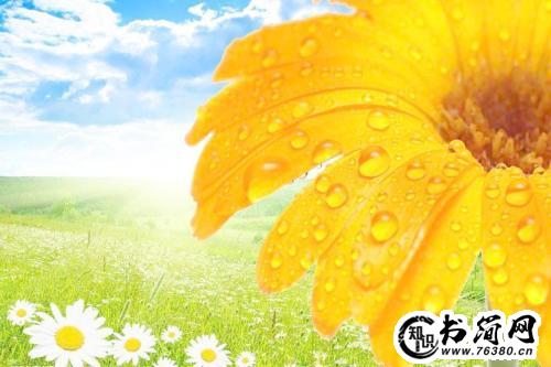 描写美丽的句子 描写生命美丽的句子